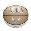 Minge baschet Wilson NBA Team City Chi Bulls