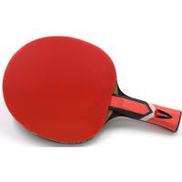 Paleta tenis de masa SUNFLEX LEGEND A50 maner anatomic, burete 2.2 mm