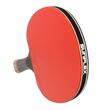 Paleta Sunflex Signature Power