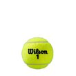 Mingi tenis Wilson Roland Garros All Court, 4 bucati