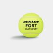 Set mingi tenis Dunlop Fort Clay Court 4 bucati