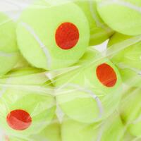 Mingi tenis Wilson Starter Orange, punct portocaliu, set 12 mingi