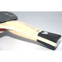 Paleta BUTTERFLY tenis de masa Timo Boll SG11, anatomic