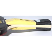 Paleta BUTTERFLY tenis de masa Timo Boll SG55, anatomic