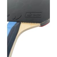 Paleta BUTTERFLY tenis de masa Timo Boll SAPPHIRE maner concav