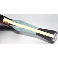 Paleta BUTTERFLY tenis de masa Timo Boll SG77, concav