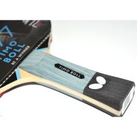 Paleta BUTTERFLY tenis de masa Timo Boll SG77, concav