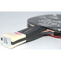 Paleta BUTTERFLY tenis de masa Timo Boll SG99, anatomic