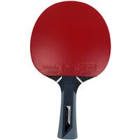 Paleta BUTTERFLY tenis de masa Timo Boll TITANIUM maner concav