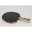 Paleta BUTTERFLY tenis de masa Timo Boll GRAPHITE maner concav
