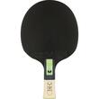 Paleta BUTTERFLY tenis de masa Dang Qiu DQX1 maner anatomic