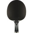 Paleta BUTTERFLY tenis de masa Dang Qiu GENIUS 2000 maner concav