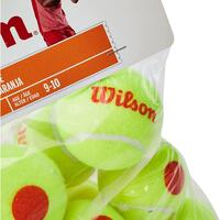 Mingi tenis Wilson Starter Orange, punct portocaliu, set 12 mingi
