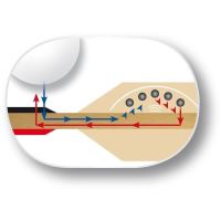 Paleta BUTTERFLY tenis de masa Timo Boll Black concav