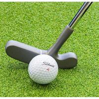 Crosa golf putter LONGRIDGE cu 2 fete, finisare silver, pentru juniori