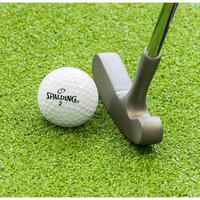 Crosa golf putter LONGRIDGE cu 2 fete, finisare silver, pentru juniori