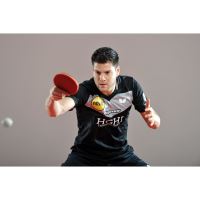 Paleta BUTTERFLY tenis de masa Dimitrij Ovtcharov GOLD, maner concav