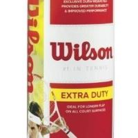 Mingi tenis Wilson Championship Extra Duty, 4 mingi