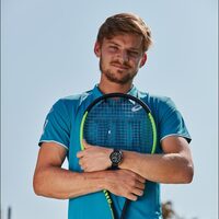 David Goffin